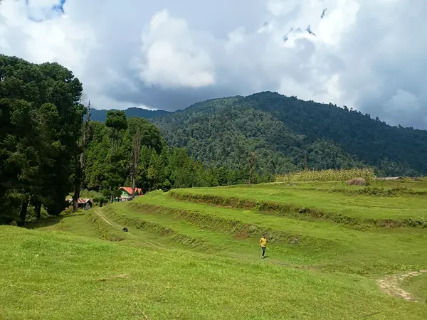 Wide green terraced meadow at Samanden with forest beyond