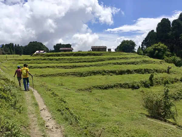Two walkers on a grassy track between terraced fields