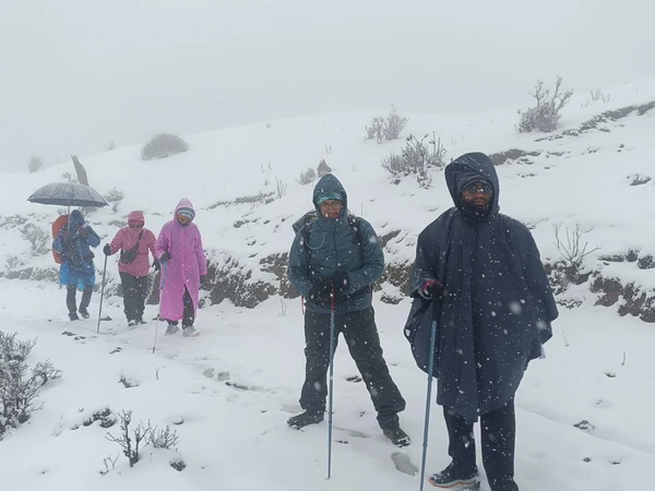 Group of trekkers walking through fresh snow