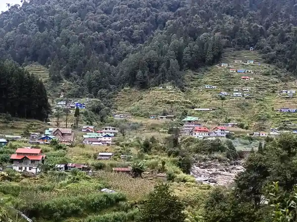 Gorkhey village: terraced fields and houses below a forested hill
