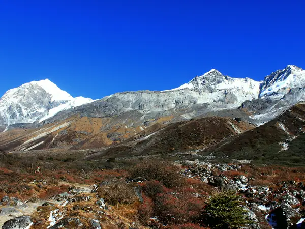 Goechala, day 6: Dzongri → Kokchurang → Thansing