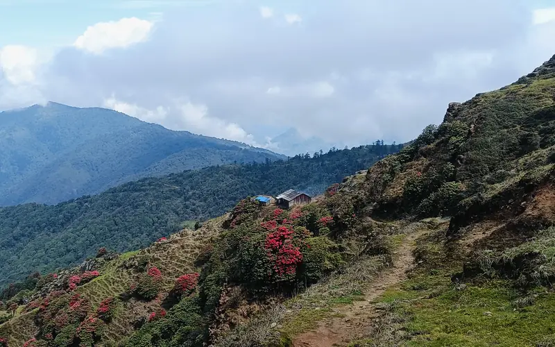 Phoktey Dara trek, Sikkim