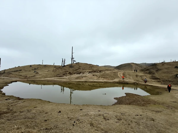 Reverse Sandakphu, day 3: Phalut → Thakum