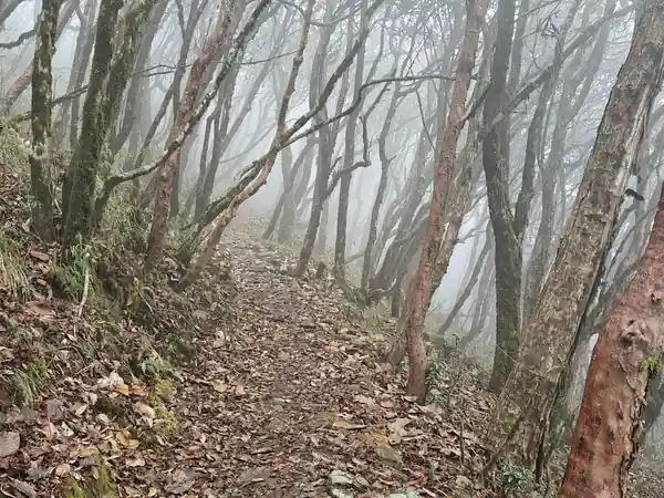 Reverse Sandakphu, day 5: Aal → Gurdum