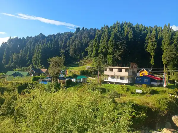 Sandakphu–Phalut, day 7: Phalut → Gorkhey