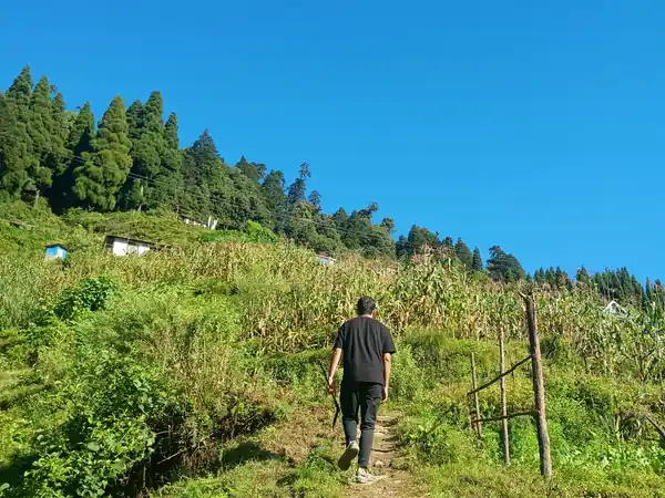Sandakphu–Phalut, day 8: Gorkhey → Bhareng → NJP